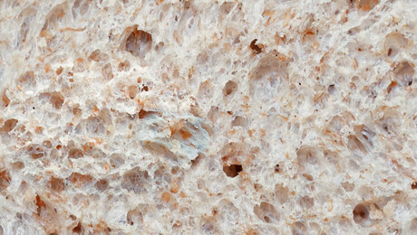 Wat is het verschil tussen witbrood en volkorenbrood?